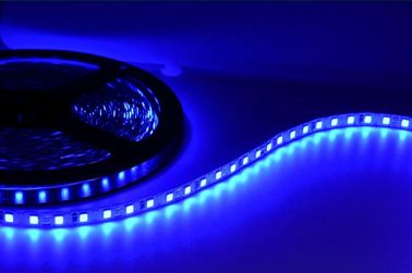 Tema Parkı Dekorasyonu İçin Suya Dayanıklı SMD2835 Esnek LED Şerit Işıklar